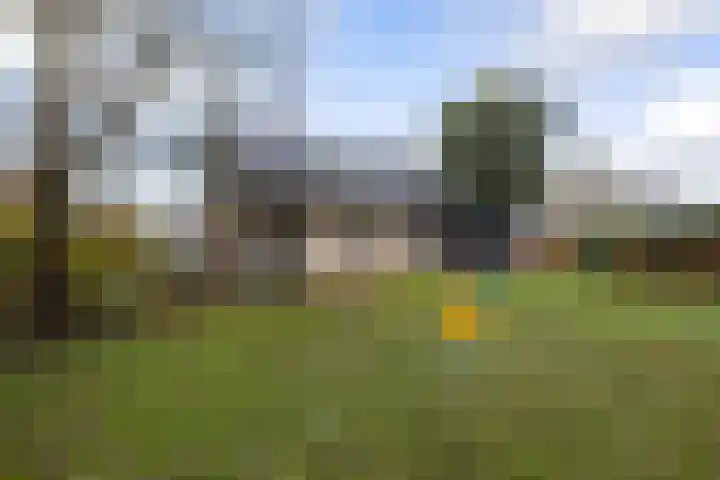 De Stelle 45 Joure thumbnail 37