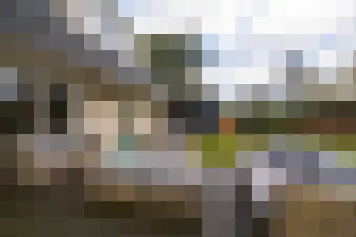 De Stelle 45 Joure thumbnail 39