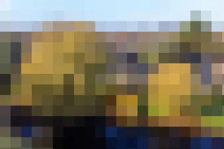 De Stelle 45 Joure thumbnail 4