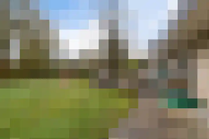 De Stelle 45 Joure thumbnail 40