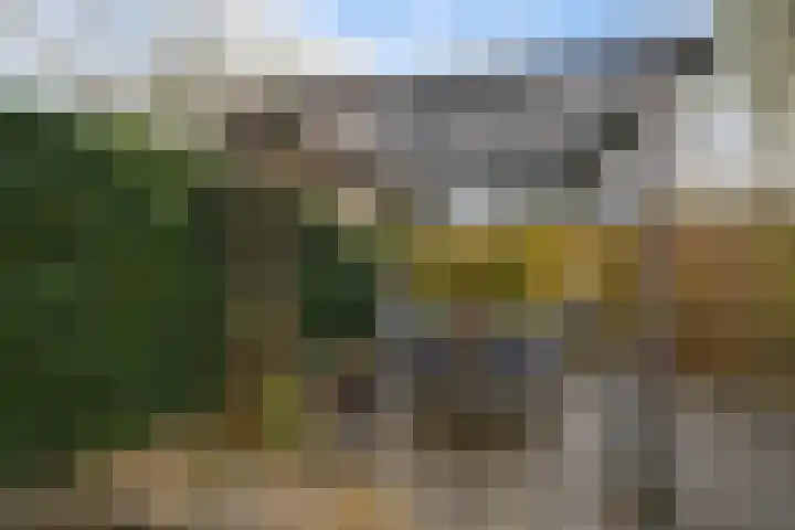 De Stelle 45 Joure thumbnail 41