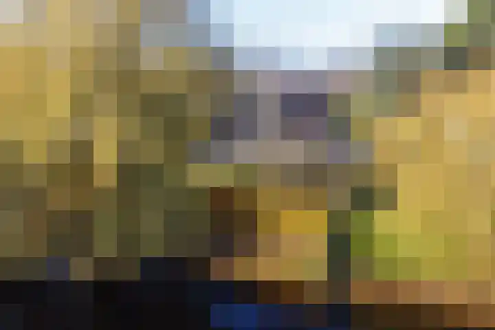 De Stelle 45 Joure thumbnail 45