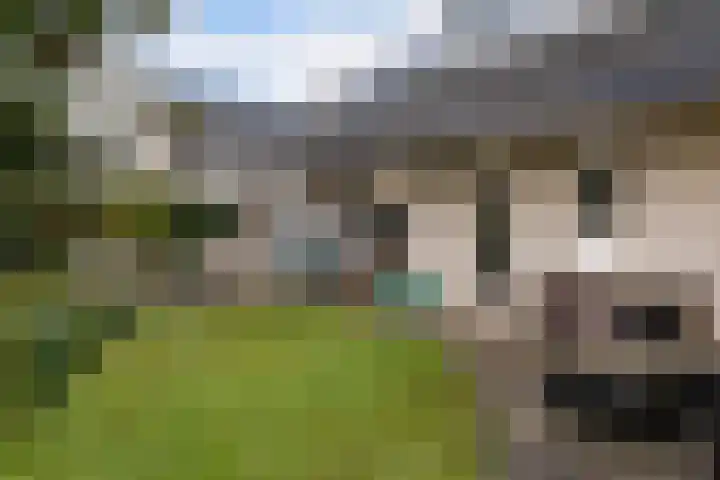 De Stelle 45 Joure thumbnail 46