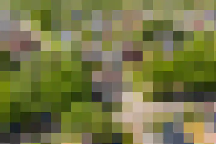 De Stelle 45 Joure thumbnail 49