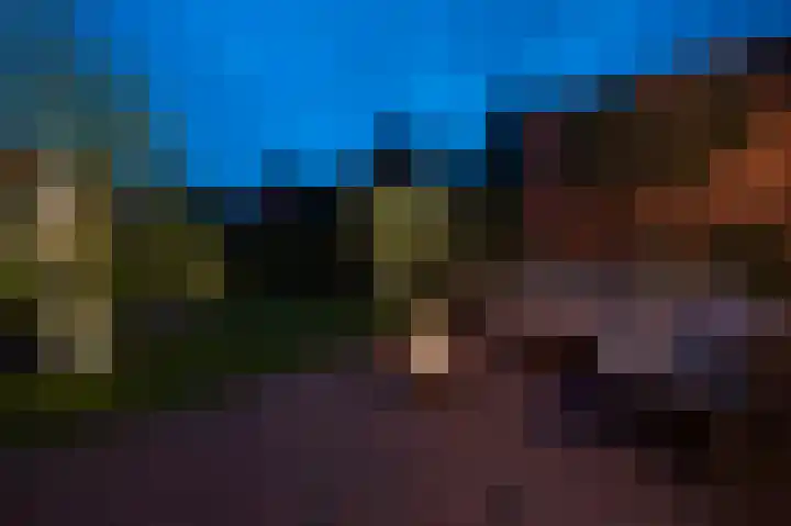 De Stelle 45 Joure thumbnail 54
