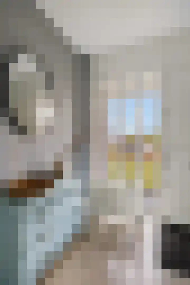 De Stelle 45 Joure thumbnail 7