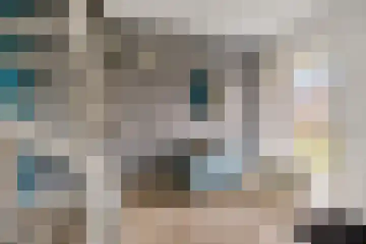 De Stelle 45 Joure thumbnail 8