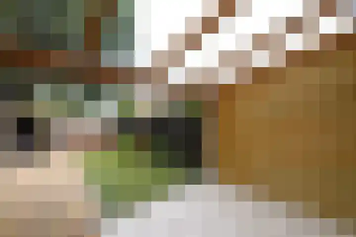 De Stelle 65 Joure thumbnail 13