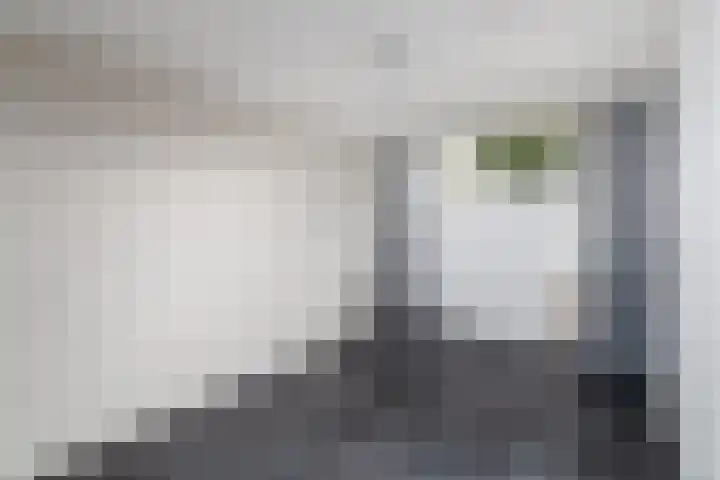 De Stelle 65 Joure thumbnail 18
