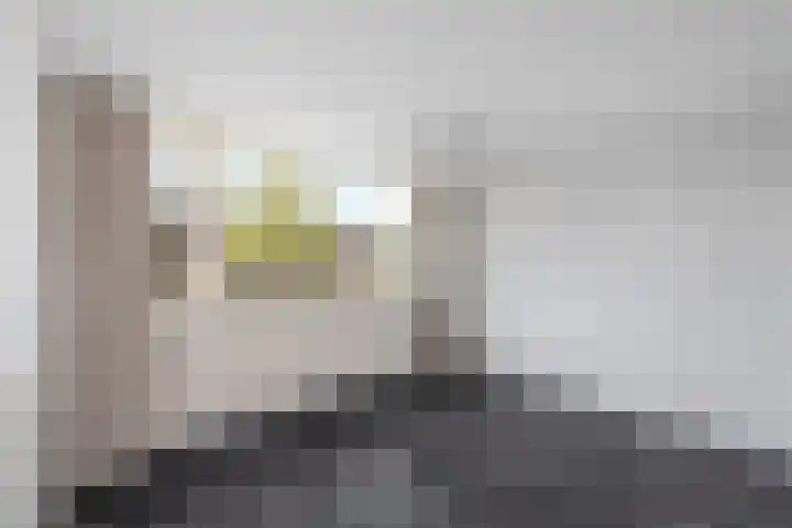 De Stelle 65 Joure thumbnail 20