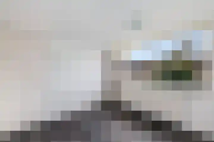 De Stelle 65 Joure thumbnail 21