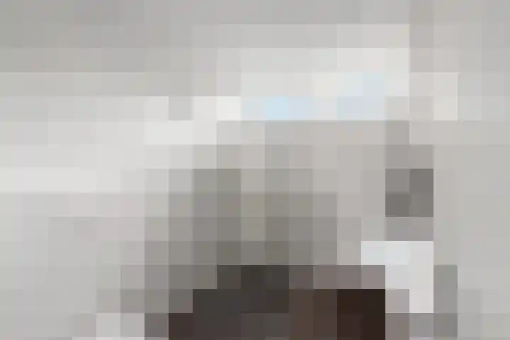 De Stelle 65 Joure thumbnail 22