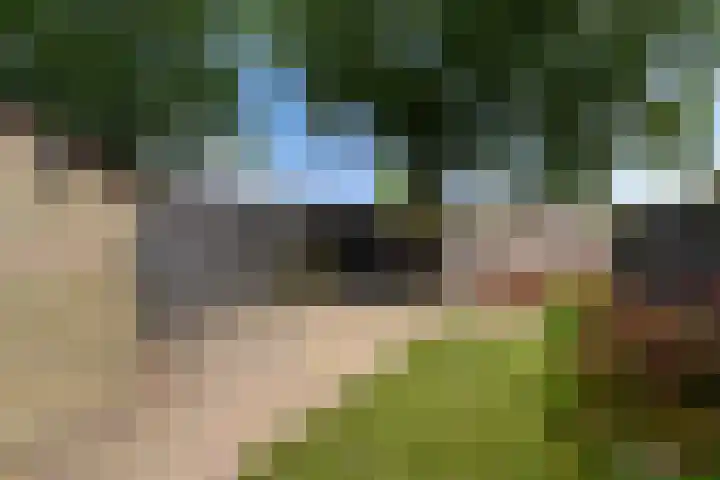 De Stelle 65 Joure thumbnail 28
