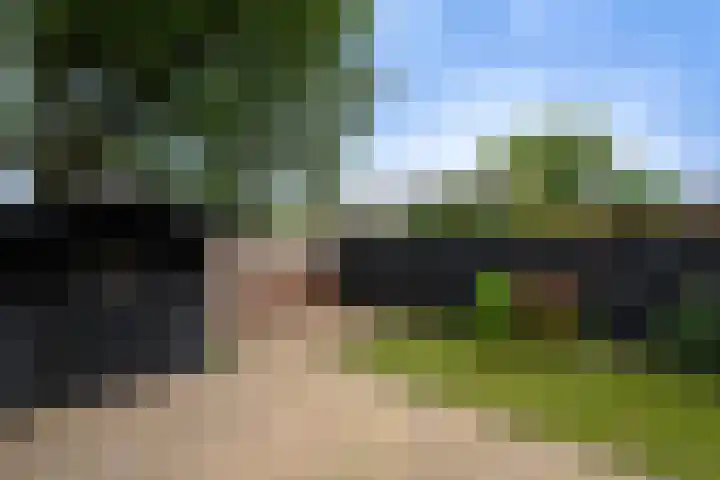 De Stelle 65 Joure thumbnail 29