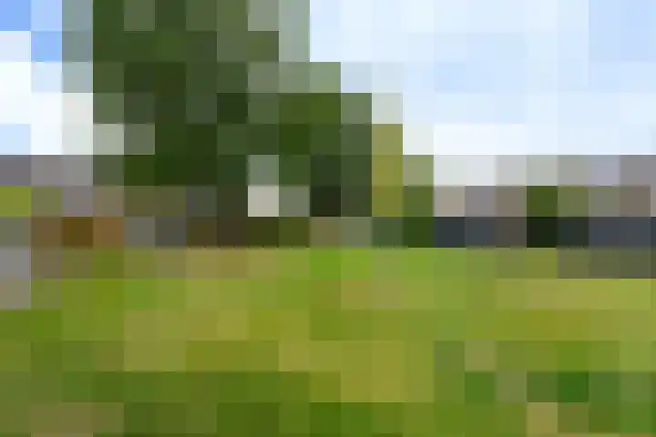 De Stelle 65 Joure thumbnail 30