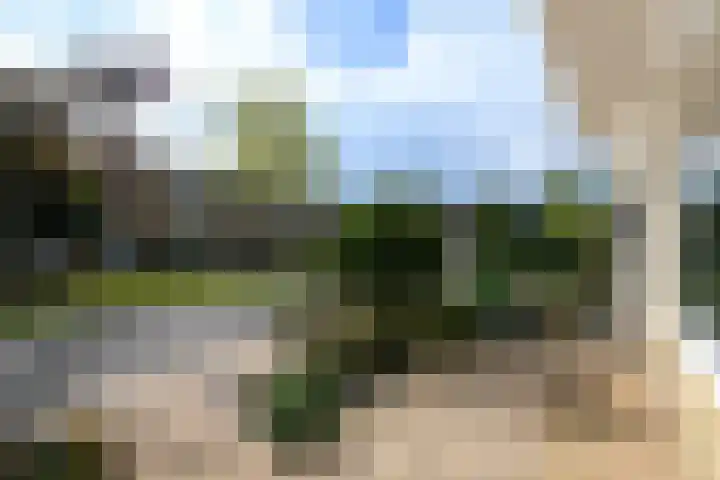 De Stelle 65 Joure thumbnail 33
