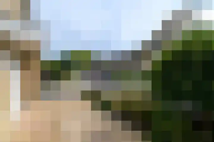 De Stelle 65 Joure thumbnail 34