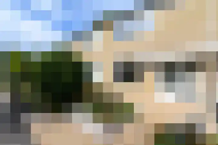 De Stelle 65 Joure thumbnail 4