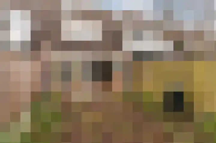 De Stelling 10 10 37 Lelystad thumbnail 29