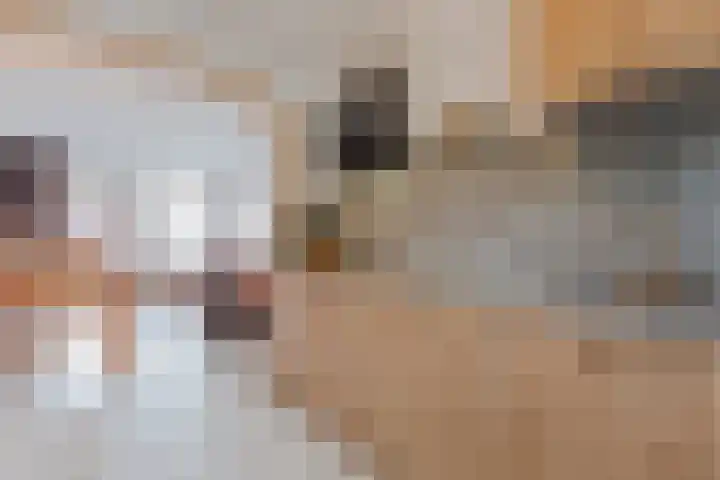 De Stelling 10 13 Lelystad thumbnail 11