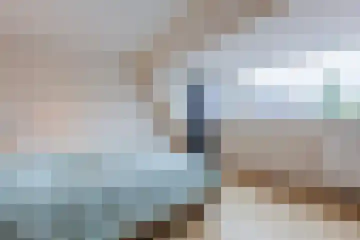De Stelling 10 13 Lelystad thumbnail 13