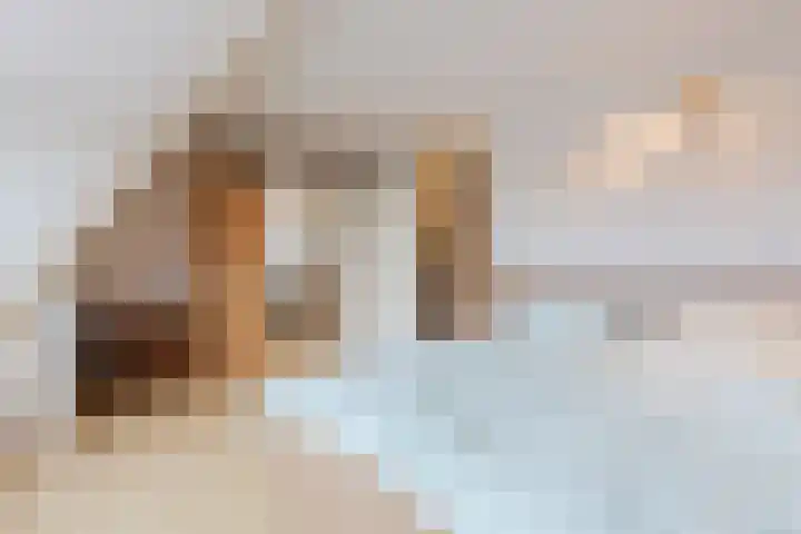 De Stelling 10 13 Lelystad thumbnail 15