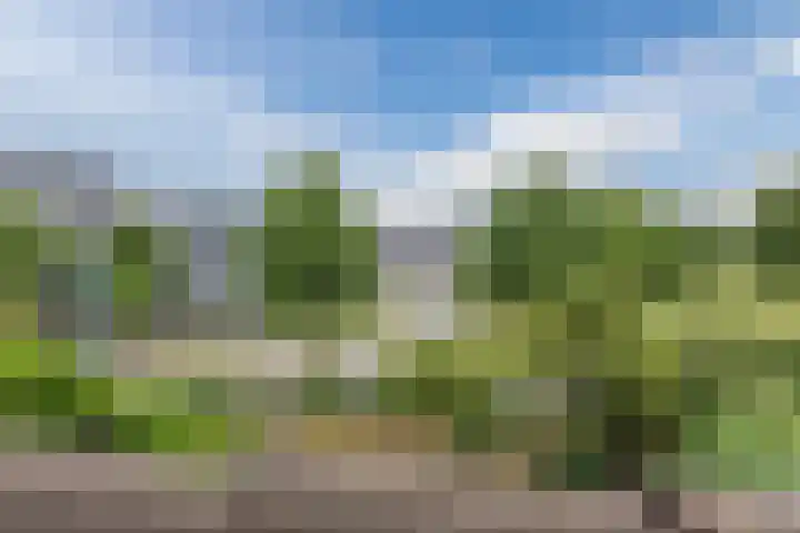 De Stelling 10 13 Lelystad thumbnail 23