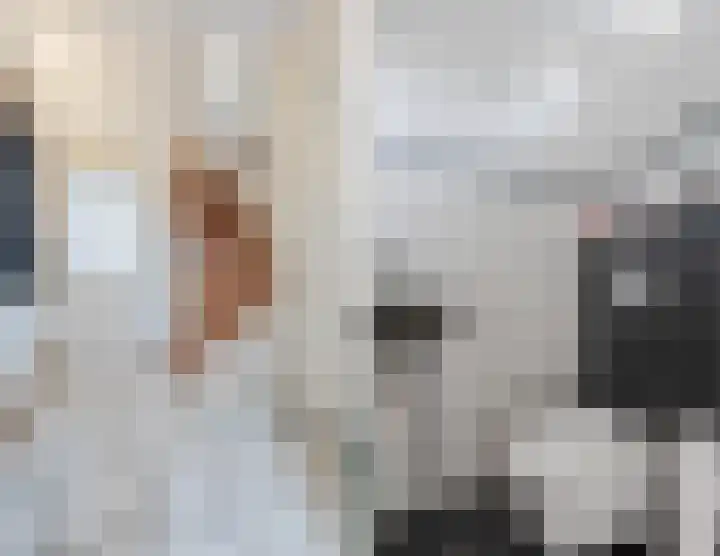 De Stelling 10 13 Lelystad thumbnail 6