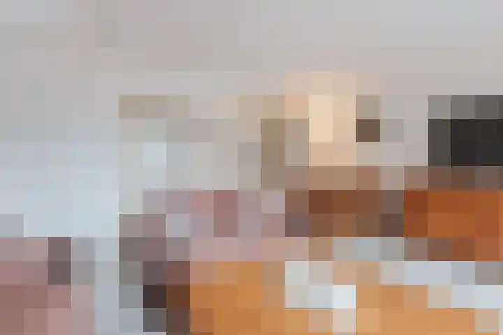 De Stelling 10 13 Lelystad thumbnail 9