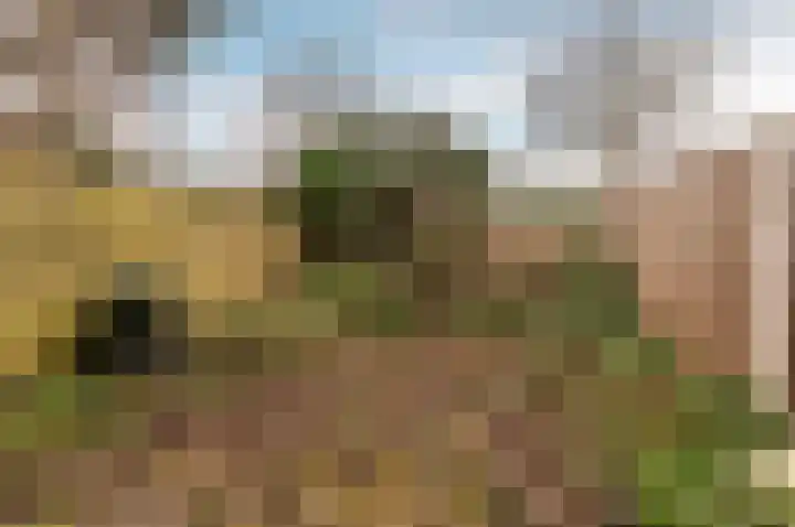 De Stelling 10 37 Lelystad thumbnail 30