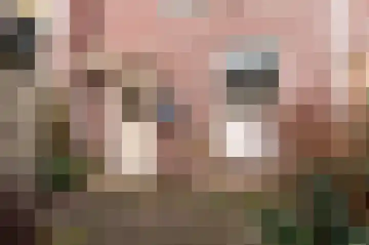 De Stelling 10 37 Lelystad thumbnail 31