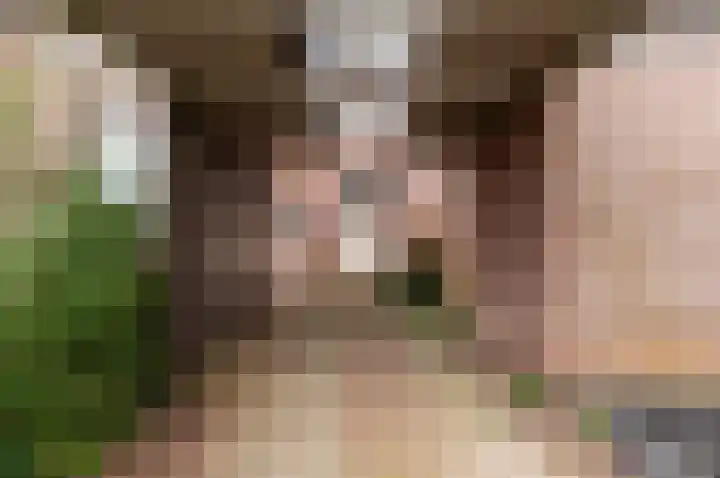 De Stelling 10 37 Lelystad thumbnail 32