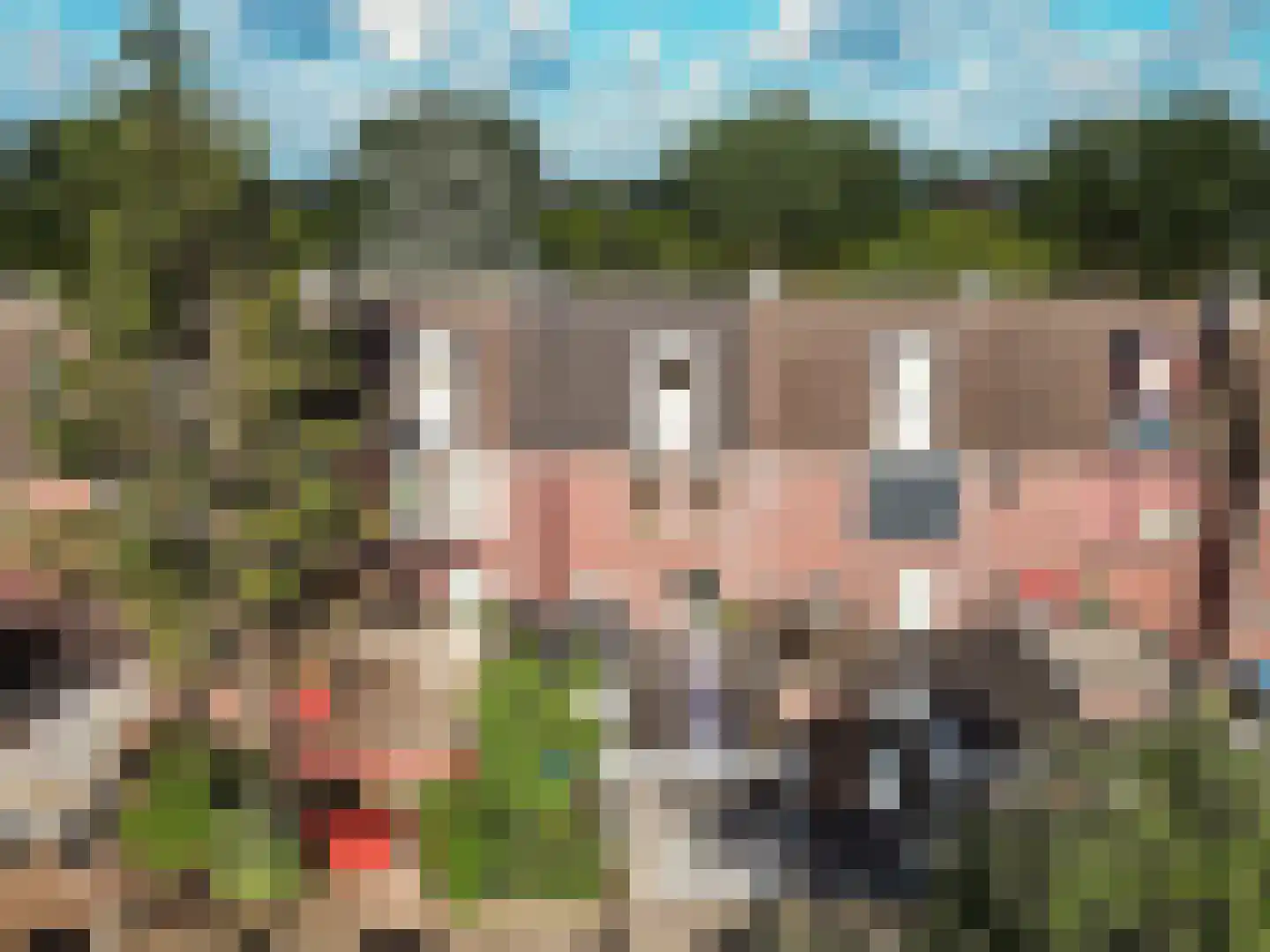 De Stelling 10 37 Lelystad thumbnail 33