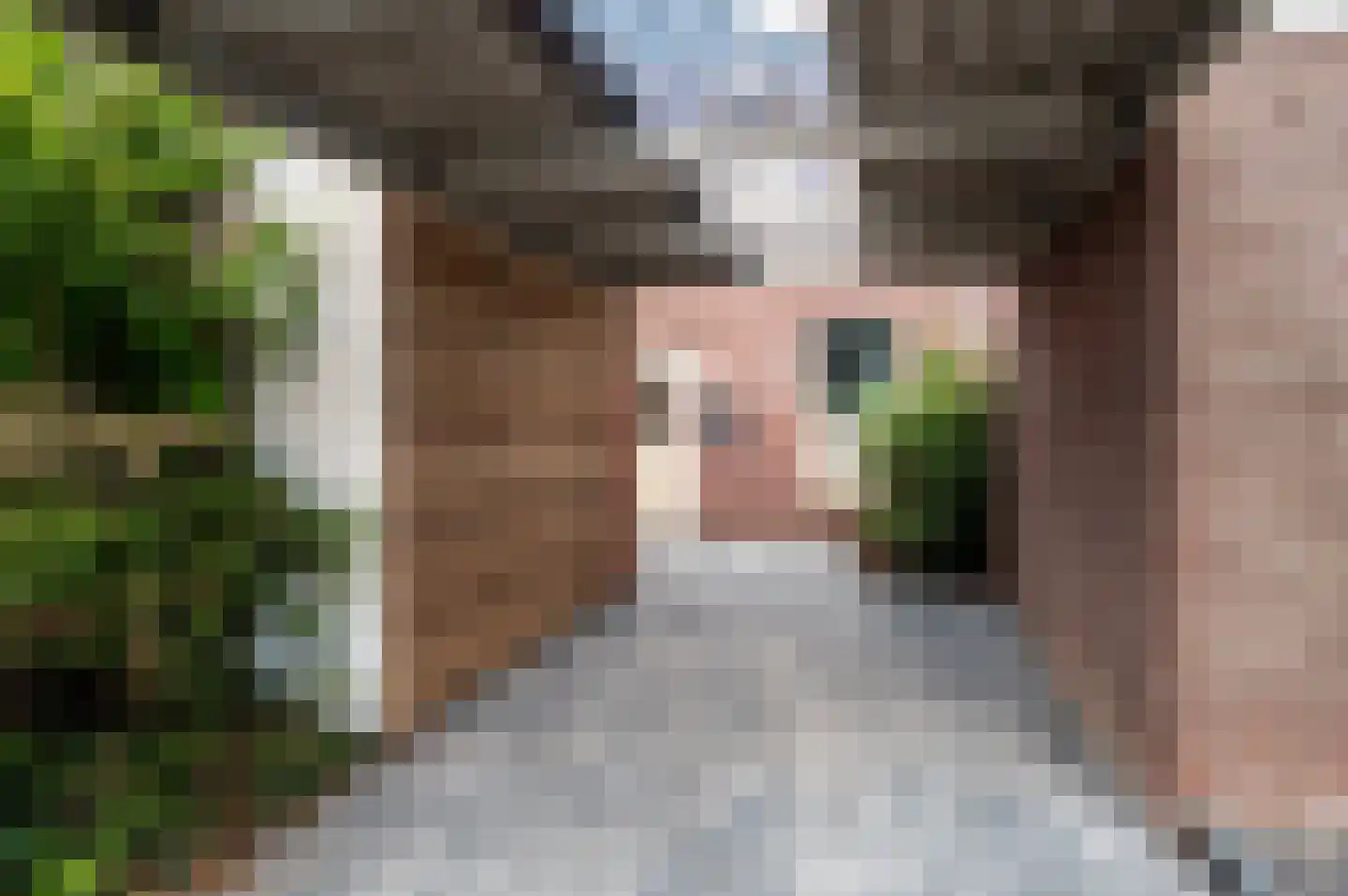 De Stelling 10 37 Lelystad thumbnail 36
