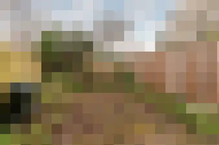 De Stelling 10 37 Lelystad thumbnail 4