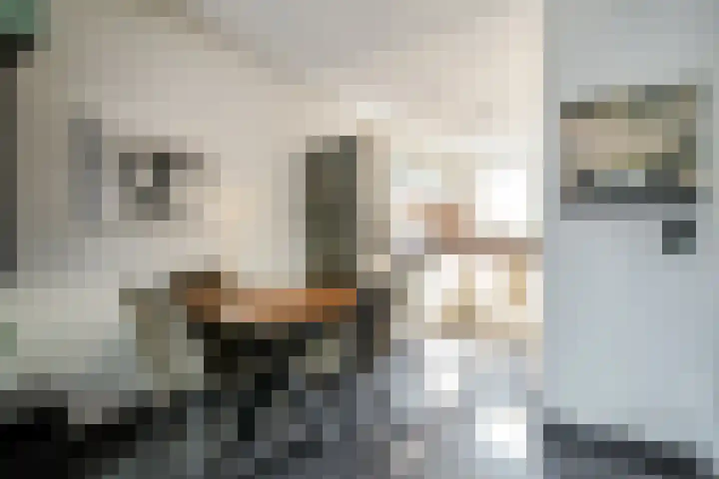 De Stelling 10 71 Lelystad thumbnail 8