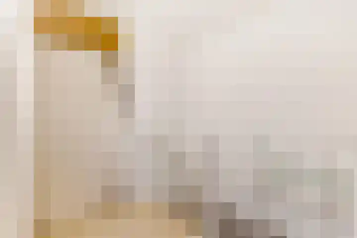 De Stelling 11 11 15 Lelystad thumbnail 21