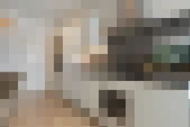 De Stelling 12 12 A Lelystad thumbnail 10