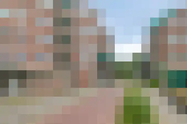 De Stelling 12 12 A Lelystad thumbnail 4