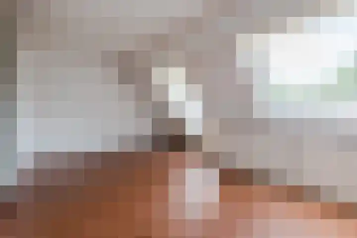 De Stelling 13 13 29 Lelystad thumbnail 13