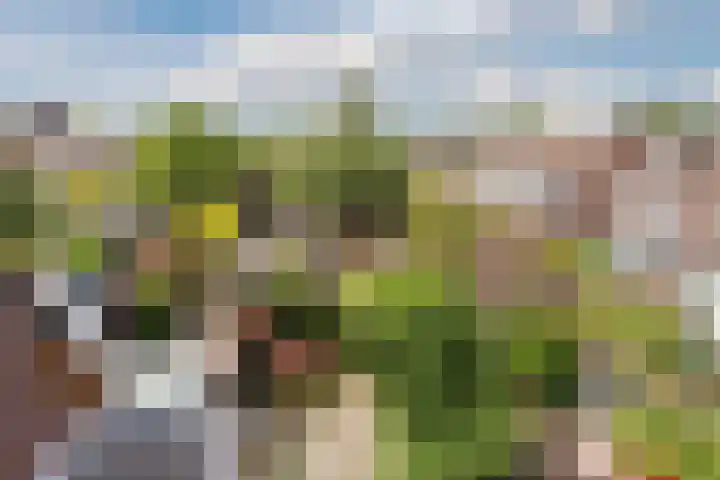 De Stelling 13 13 29 Lelystad thumbnail 26