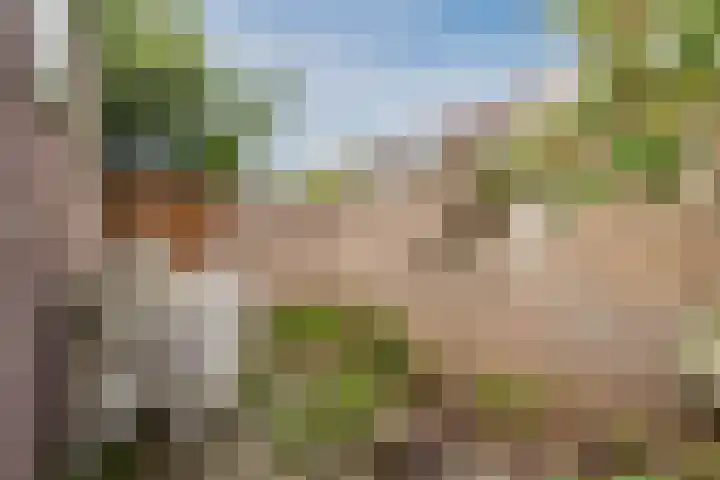 De Stelling 13 13 29 Lelystad thumbnail 30