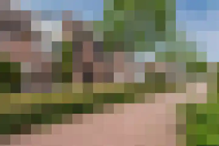 De Stelling 13 13 29 Lelystad thumbnail 4