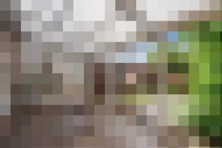 De Stelling 13 29 Lelystad thumbnail 27