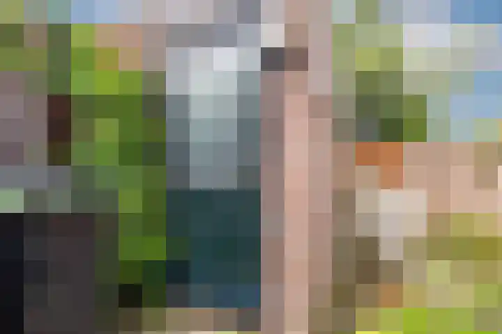 De Stelling 13 29 Lelystad thumbnail 29