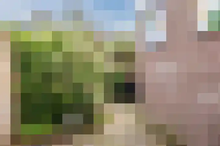 De Stelling 13 29 Lelystad thumbnail 31