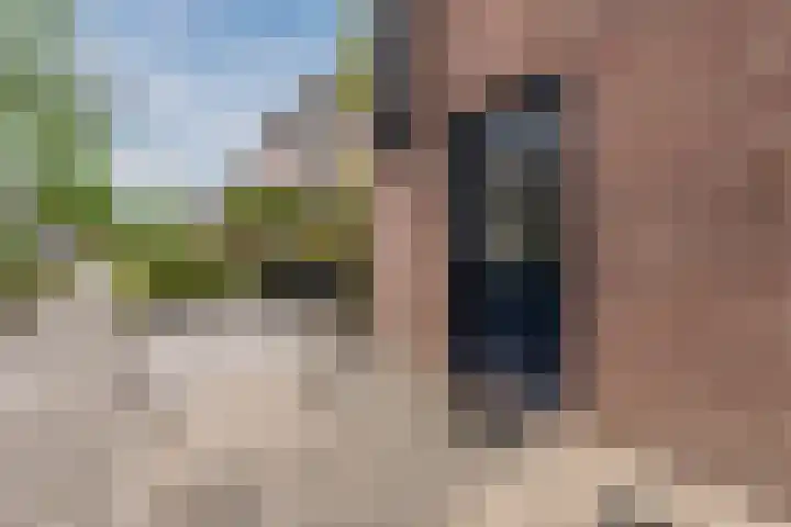 De Stelling 13 29 Lelystad thumbnail 5