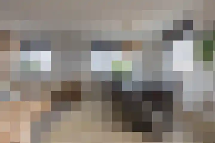 De Stelling 17 Muiden thumbnail 14