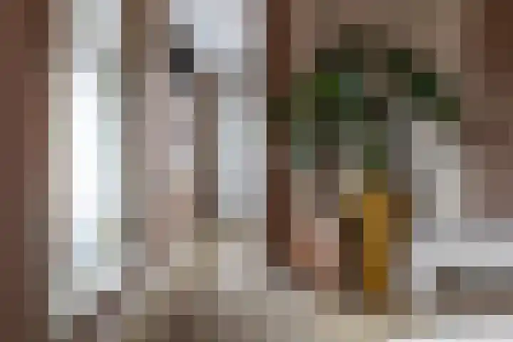 De Stelling 17 Muiden thumbnail 19