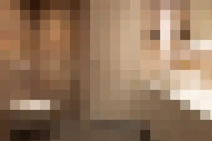 De Stelling 17 Muiden thumbnail 23
